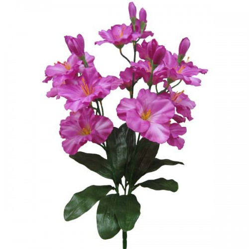 У3457 Букет орхидея с бутоном  "Шарм" 5в 